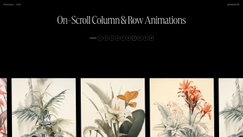 A cover of "DEV RESSOURCE" cluster. The owner is perruche. The cluster consists of 4 elements.