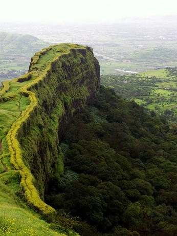 A cover of "TRACEABILITY" cluster. The owner is bombadil. The cluster consists of 77 elements.