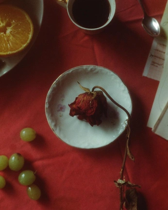 A cover of "still life" cluster. The owner is mansuo. The cluster consists of 7 elements.