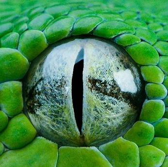 A cover of "UNIVERSAL PATTERNS" cluster. The owner is christopher. The cluster consists of 75 elements.