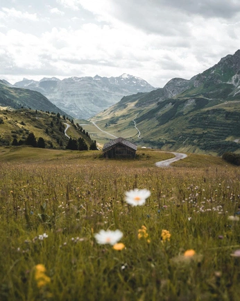 A cover of "Landscape" cluster. The owner is ng.ts. The cluster consists of 1 element.