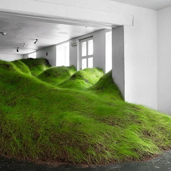 A cover of "conceptual" cluster. The owner is sheilashares. The cluster consists of 2 elements.