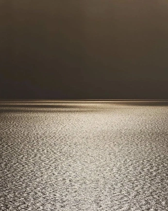 A cover of "palettes" cluster. The owner is yiijon. The cluster consists of 14 elements.