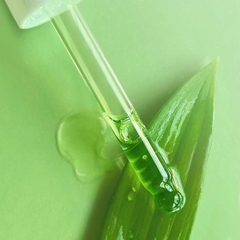 A cover of "Plants" cluster. The owner is joabnascar. The cluster consists of 1 element.