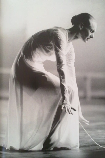 A cover of "poses" cluster. The owner is noir.create. The cluster consists of 1 element.