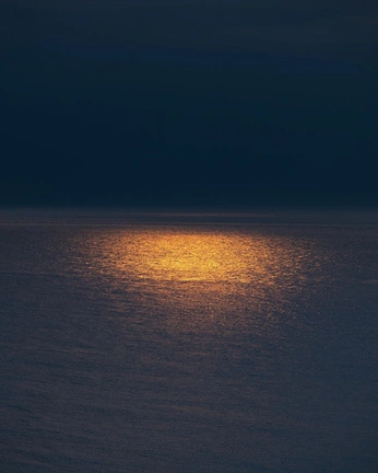 A cover of "Bluecore" cluster. The owner is ximmmmm. The cluster consists of 4 elements.