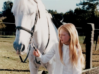 A cover of "Works" cluster. The owner is danirosi. The cluster consists of 7 elements.