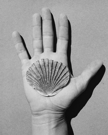 A cover of "Home" cluster. The owner is manuelagalvis. The cluster consists of 23 elements.