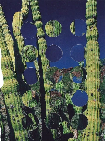 A cover of "Concepts" cluster. The owner is thatpersonro. The cluster consists of 2 elements.