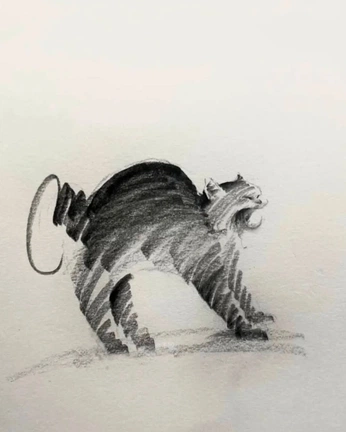 A cover of "cat-sketch" cluster. The owner is stafie. The cluster consists of 6 elements.