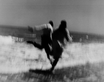 A cover of "Cover" cluster. The owner is lifeguard.studio. The cluster consists of 4 elements.