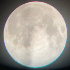 Aryah Martina avatar