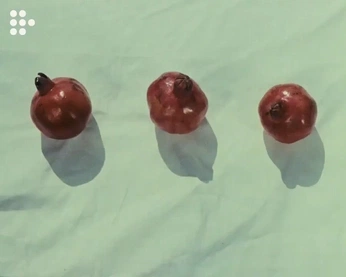 A cover of "cinema" cluster. The owner is volivares. The cluster consists of 2 elements.