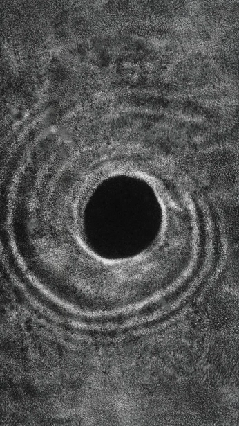 A cover of "video/film" cluster. The owner is nikhuno. The cluster consists of 9 elements.