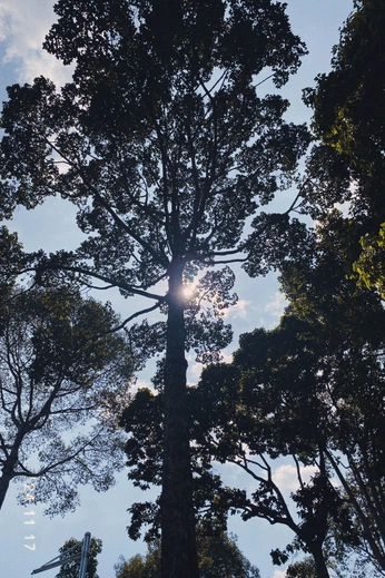 A cover of "View" cluster. The owner is babibu. The cluster consists of 5 elements.