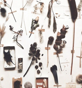 A cover of "T3" cluster. The owner is adamsnyder. The cluster consists of 143 elements. 4 create it.