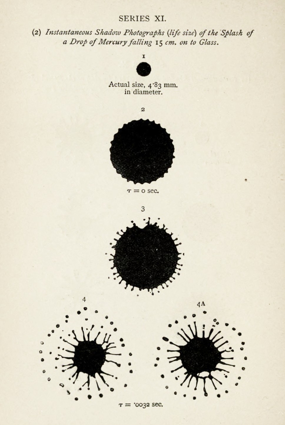 An image added by cosmos on Jul 10, 2024. May present: document, the splash of a drop.