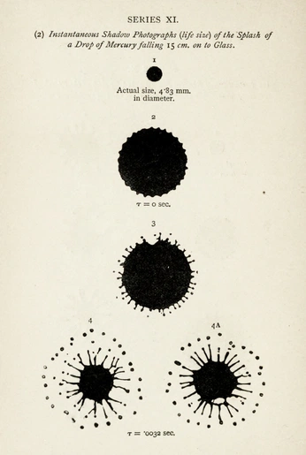 A cover of "splash of a drop" cluster. The owner is cierrarubylee. The cluster consists of 1 element.