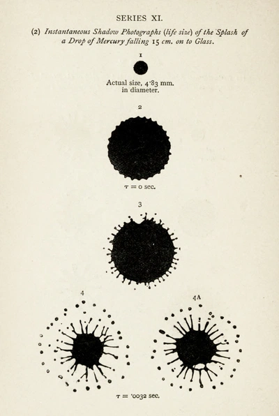 An image added by cosmos on Jul 10, 2024. May present: document, the splash of a drop.