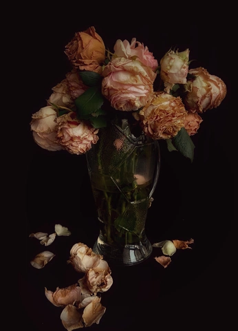 A cover of "OPENING" cluster. The owner is jxdollar. The cluster consists of 11 elements.