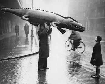 A cover of "Photography" cluster. The owner is denizkaynak. The cluster consists of 24 elements.