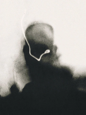 A cover of "Gut Instinct" cluster. The owner is sleepingpoet. The cluster consists of 161 elements.