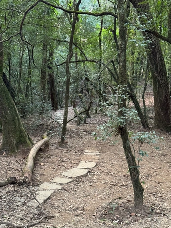 A cover of "Pathways" cluster. The owner is oliviairene. The cluster consists of 2 elements.