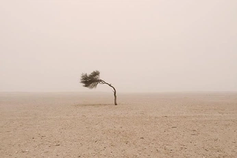 A cover of "Vacío Mūsa" cluster. The owner is amayalma. The cluster consists of 9 elements.