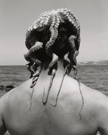 A cover of "creature" cluster. The owner is whataboutangeles. The cluster consists of 100 elements.