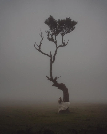 A cover of "IMPERFECT" cluster. The owner is betheovum. The cluster consists of 11 elements.