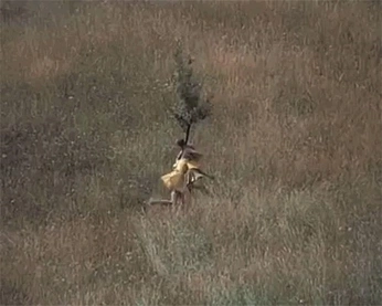 A cover of "life" cluster. The owner is lunanorte. The cluster consists of 5 elements.