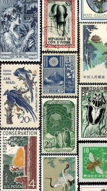 A cover of "Selos" cluster. The owner is r3nn4. The cluster consists of 28 elements.