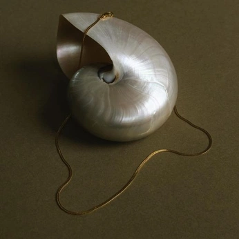 A cover of "Clu" cluster. The owner is bluedot. The cluster consists of 5 elements.