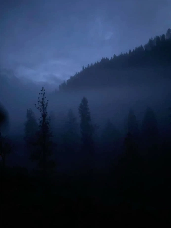 A cover of "saved3" cluster. The owner is lawiihasan. The cluster consists of 187 elements.