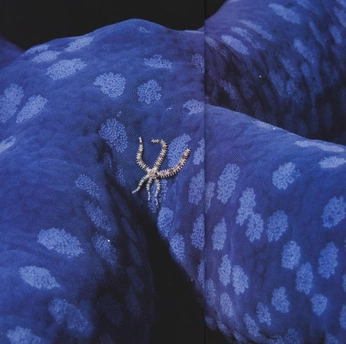 A cover of "Ocean" cluster. The owner is deerlydeparted. The cluster consists of 17 elements.