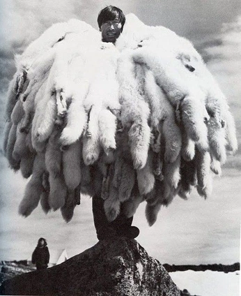 A cover of "Photographs" cluster. The owner is taylorappalachia. The cluster consists of 38 elements.