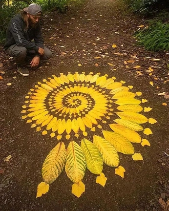 A cover of "jaune" cluster. The owner is polol. The cluster consists of 1 element.