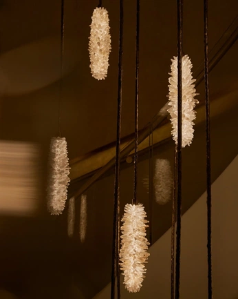 A cover of "Light" cluster. The owner is elnazomidvar86. The cluster consists of 14 elements.