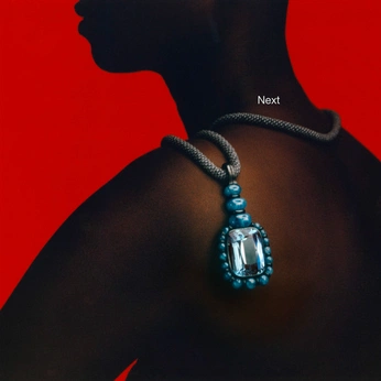 A cover of "Lens" cluster. The owner is chaques. The cluster description is "Art Direction + Visual Inspo". The cluster consists of 49 elements.