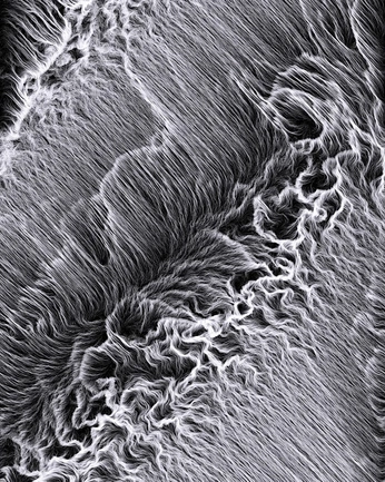 A cover of "Matri" cluster. The owner is juanavrm. The cluster consists of 2 elements.