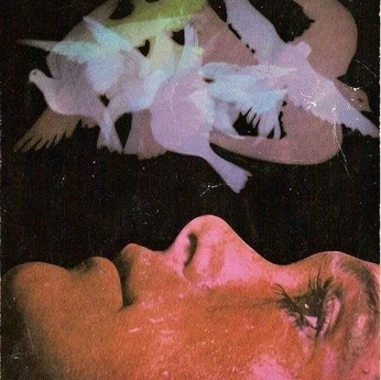 A cover of "Ineffable Touch" cluster. The owner is noorzonnebloem. The cluster consists of 59 elements.