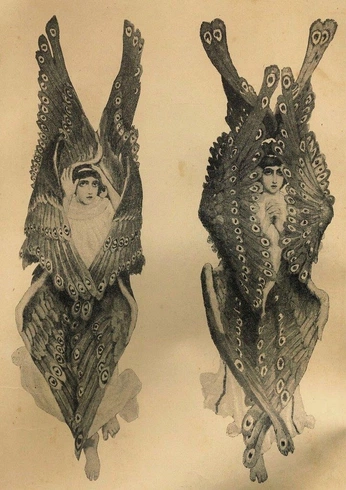 A cover of "illustration" cluster. The owner is caspergeist. The cluster consists of 1 element.