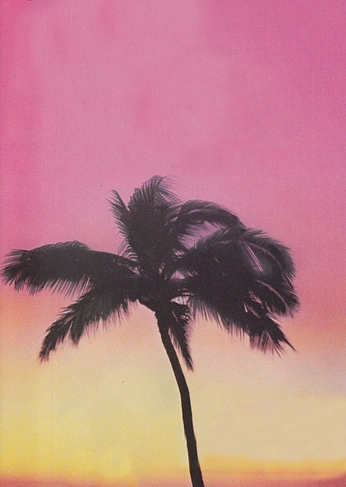 A cover of "MAGNA_HAWAII" cluster. The owner is cortneywhite. The cluster consists of 49 elements.