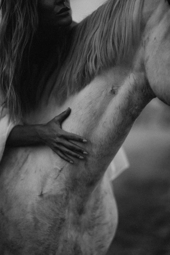 A cover of "Mackenzie" cluster. The owner is laynibecker. The cluster consists of 37 elements.