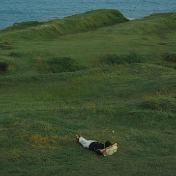 A cover of "sweet hitchhiker" cluster. The owner is beewebby. The cluster consists of 12 elements.