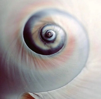 A cover of "Earth" cluster. The owner is chellldog. The cluster consists of 16 elements.