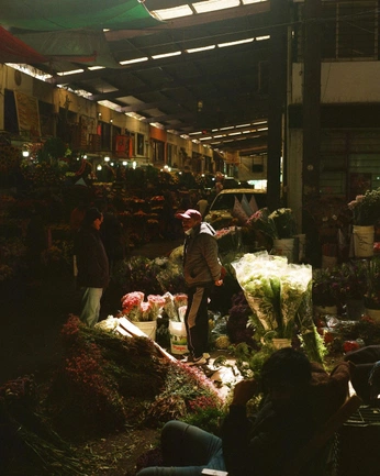 A cover of "mi tierra" cluster. The owner is katguerra. The cluster consists of 13 elements.