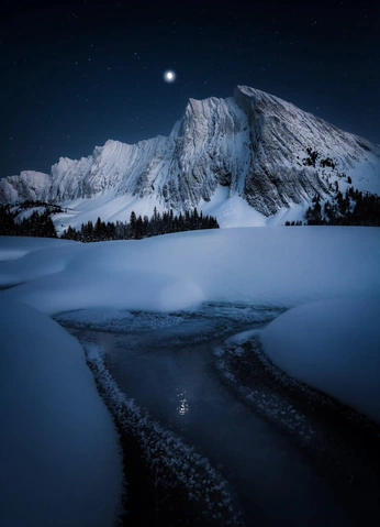 A cover of "arctic tundra" cluster. The owner is siberianwinds. The cluster consists of 1 element.