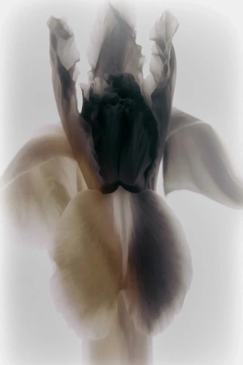 A cover of "fashion" cluster. The owner is aidiniotisv. The cluster consists of 13 elements.