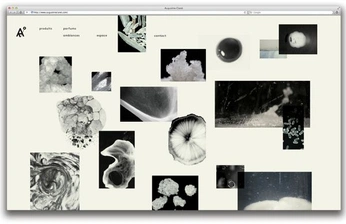 A cover of "portfolio" cluster. The owner is muskaniverse. The cluster consists of 1 element.